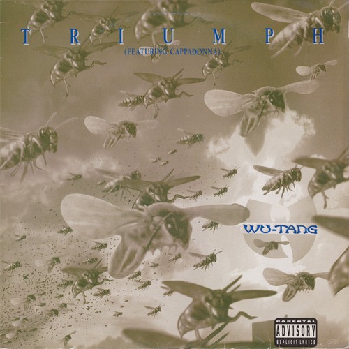 Tang clan cappadonna - wu-tang,