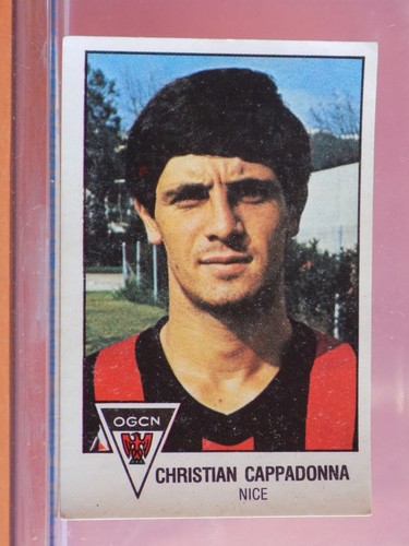 Panini football sticker - football,